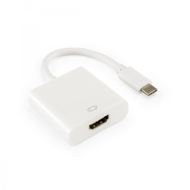 SBOX adapter HDMI-USB C F/M