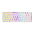 WHITE SHARK gaming mechanical keyboard GK-2022 SHINOBI white /blue sw