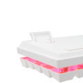 BARACUDA gaming keyboard BGK-03211 DOLPHIN white red sw.