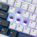 WHITE SHARK PREMIUM LINE keyboard GK-007251 EXCALIBUR white US
